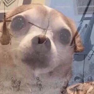 Meet your Posher, Abraham